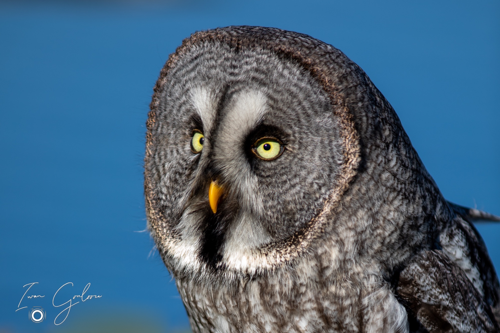 04 maart 2022 153412  5D44214